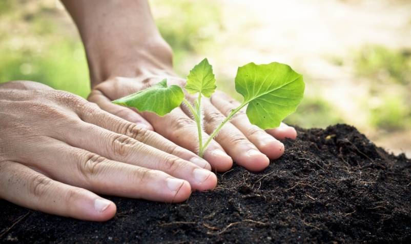 The GreenPlan Licence | GreenÓir Services